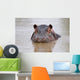 hippo Wall Mural