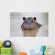 hippo Wall Mural
