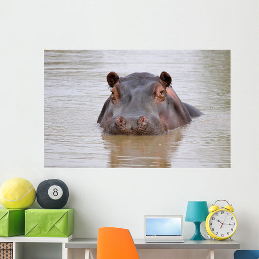hippo Wall Mural