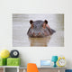 hippo Wall Mural