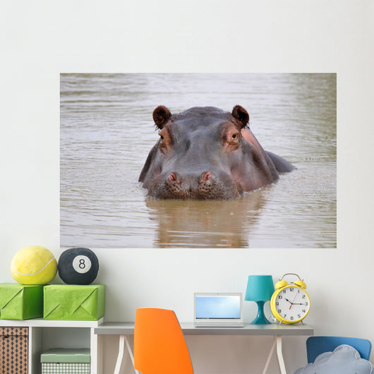 hippo Wall Mural