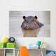 hippo Wall Mural