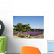 Lavender field Wall Mural
