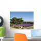 Lavender field Wall Mural