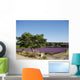Lavender field Wall Mural
