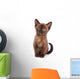 Burmese Kitten White Wall Decal