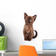 Burmese Kitten White Wall Decal