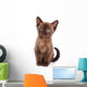 Burmese Kitten White Wall Decal