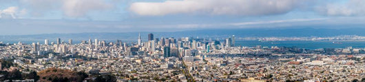 San Francisco Panorama Wall Decal