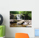 Stream Brecon Becons Wall Decal