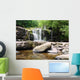 Stream Brecon Becons Wall Decal