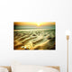 Muschel Am Strand Wall Decal