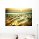 Muschel Am Strand Wall Decal