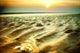 Muschel Am Strand Wall Decal