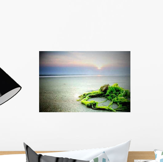 Mussels and Algae Wall Decal