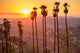 Griffith Park Wall Decal