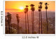Griffith Park Wall Decal