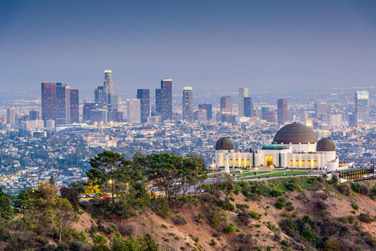 La Skyline Wall Decal