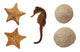 Set Sea Animals Wall Decal