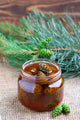 Jam from Pine Cones Wall Decal