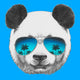 Hand Drawn Portrait Panda Wall Decal