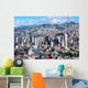 Cityscape La Paz Bolivia Wall Decal