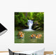 Siberian Tigers Water Wall Decal