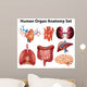 Anatomy Wall Stickers Wall Decal
