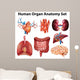 Anatomy Wall Stickers Wall Decal