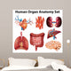 Anatomy Wall Stickers Wall Decal