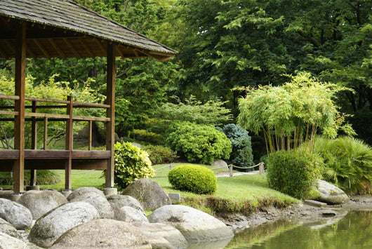 Green Oriental Garden Wall Decal