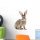 Brown Rabbit Wall Decal
