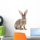 Brown Rabbit Wall Decal