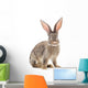 Brown Rabbit Wall Decal