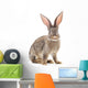 Brown Rabbit Wall Decal