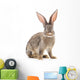 Brown Rabbit Wall Decal