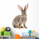 Brown Rabbit Wall Decal