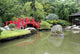 Oriental Garden Wall Decal