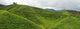 Cameron Highlands Malaysia Wall Decal