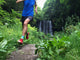 Up Trail Runner with Wall Decal