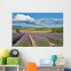 Provence Wall Decal