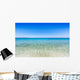 Mare Wall Decal