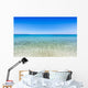 Mare Wall Decal