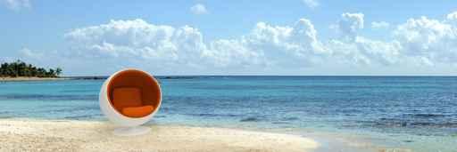 Tropical Red Bulles 3 Wall Decal