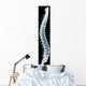 Human Spine Black Xray Wall Decal