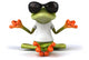 Cool Zen Frog Wall Decal