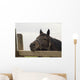 Sad Horse Portrait Wall Decal