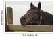 Sad Horse Portrait Wall Decal