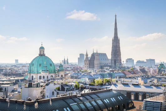 Over Vienna Skyline with Wall Decal