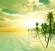 Dream Island Wall Decal